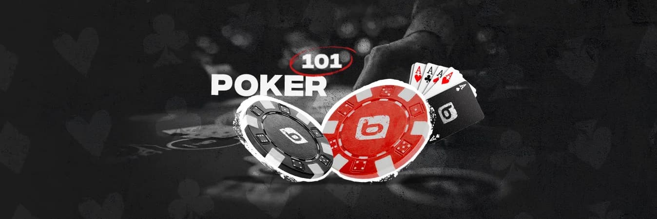 BEGINNERS GUIDE TO POKER